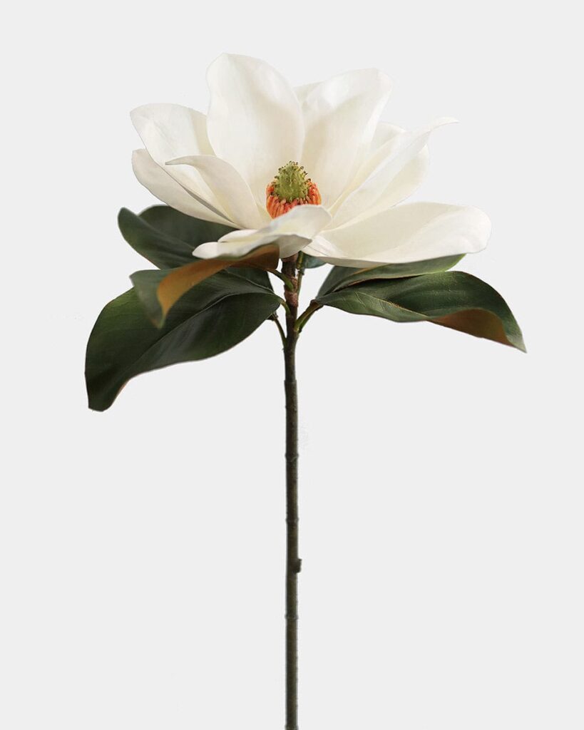 White Faux Magnolia 29