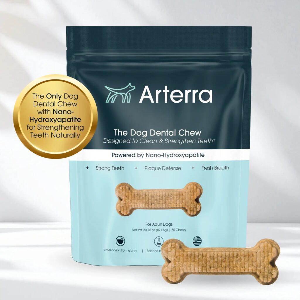 The Dog Dental Chews Overview 2026