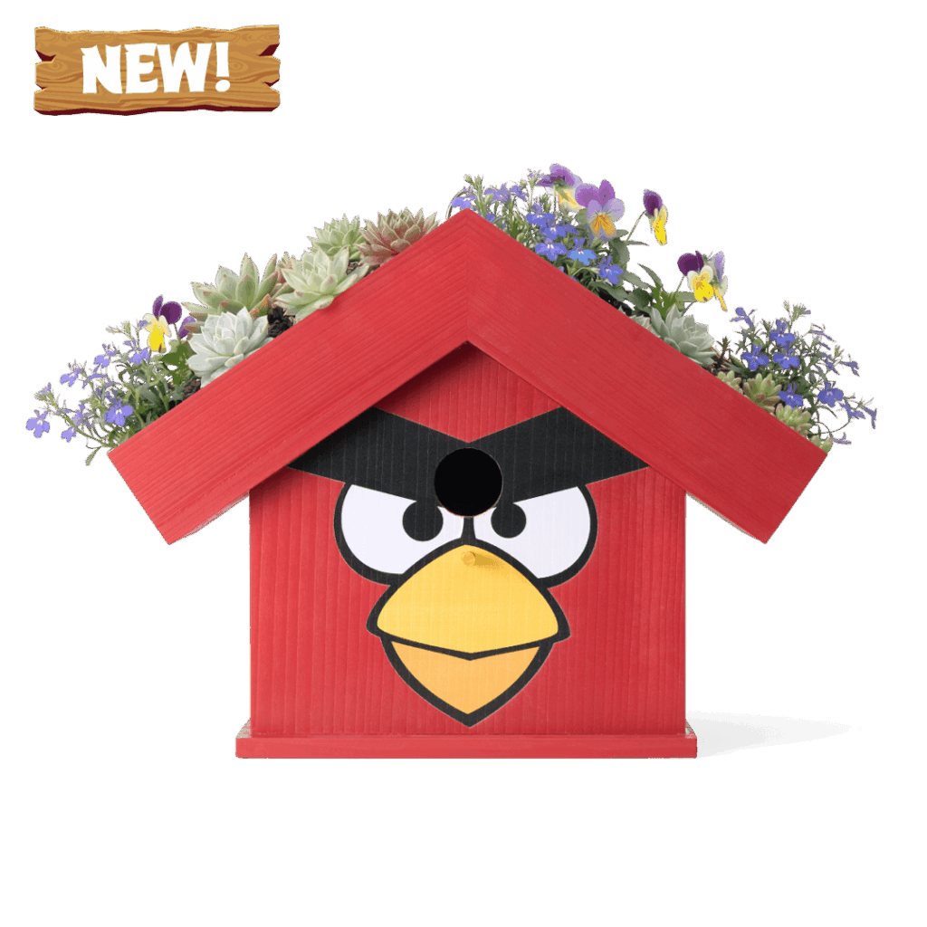 WildYard X Angry Birds™ – Flowerpot Birdhouse Review