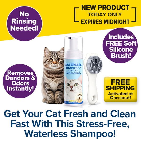Cat Waterless Shampoo with Brush: Overview