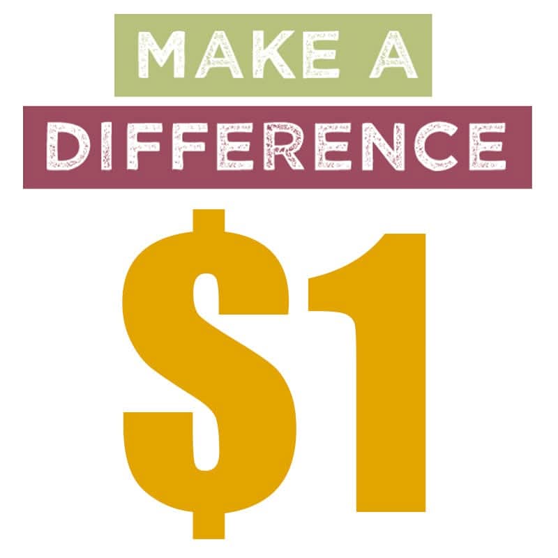 Taking a Look at Fosi Audio Make Up the Price Difference of $1
