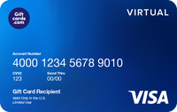 Visa Egift eGift Card | Giftcards.com – Overview & Review
