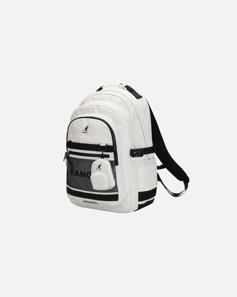 Icon Quantum Pro Backpack: What to Know