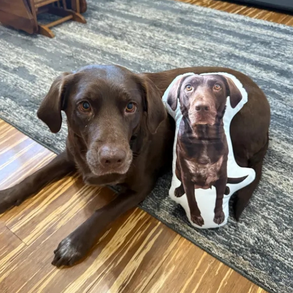 Pet Shaped Pillows – Create Your Own Custom Dog Cat Pillow: Complete Review
