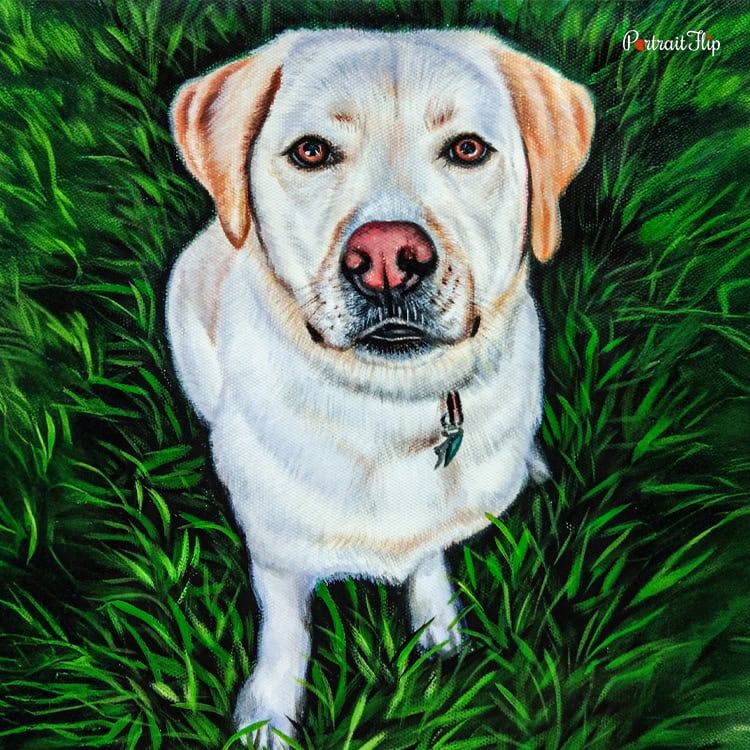 Dog Pastel Portraits: Overview