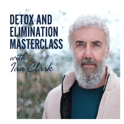A Closer Look at New You Masterclass