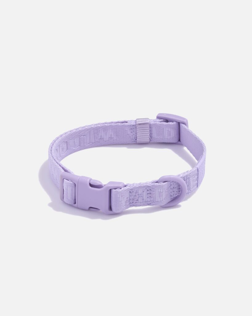 Quick-Release Dog Collar: Complete Review
