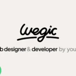 Wegic