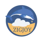ZIGJOY